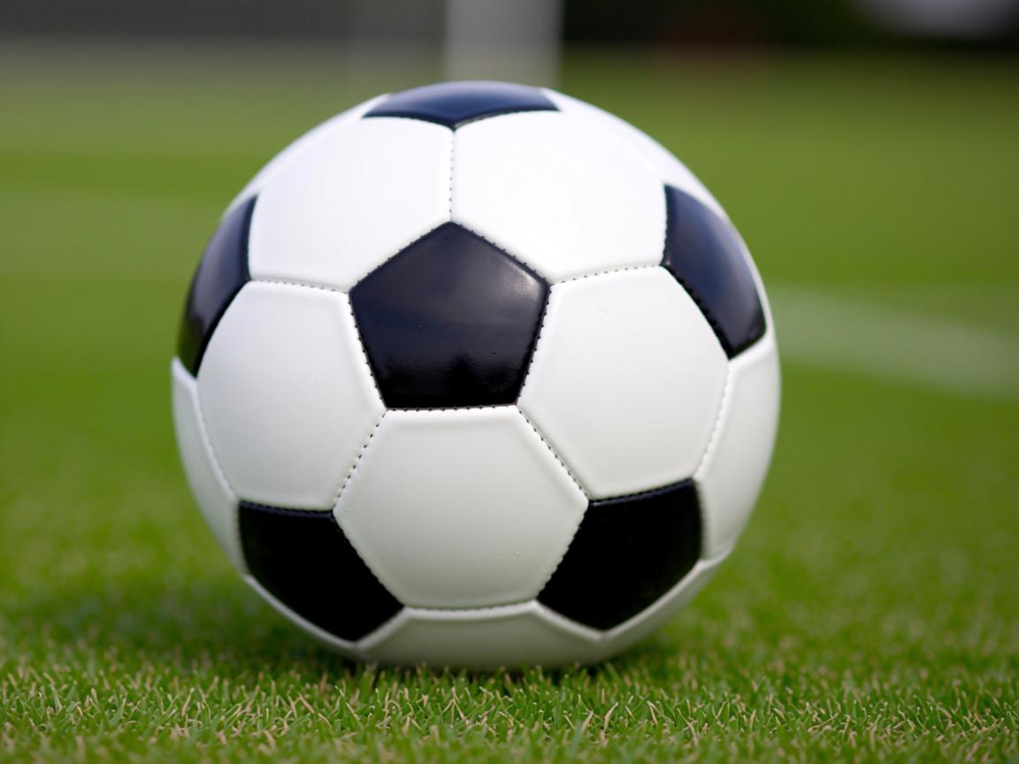 九游体育官网入口-2026世界杯官方公告官方信息一览  第2张